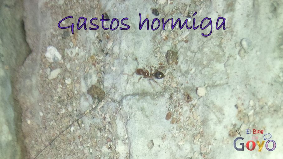 Gastos hormiga Portada