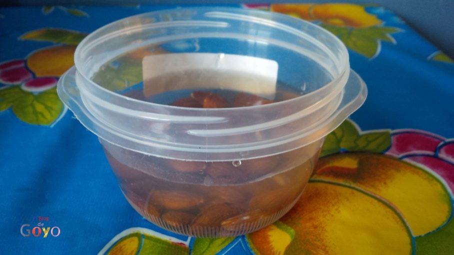 Yogur vegetariano de mango