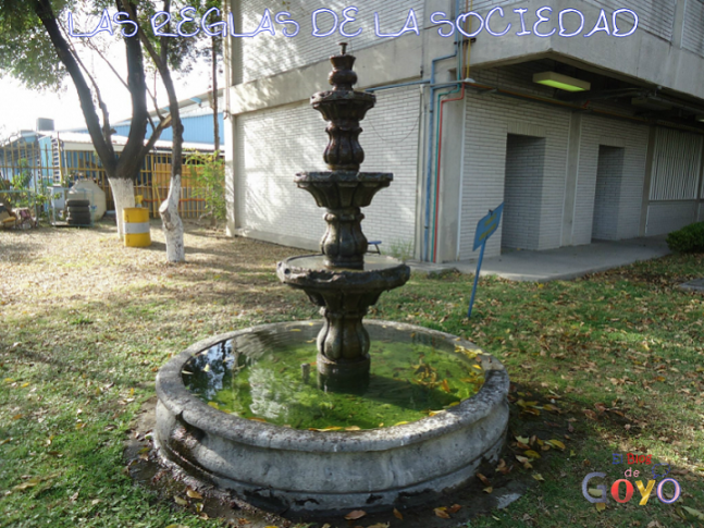 Las reglas de la sociedad