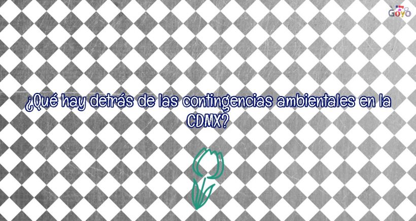 Qué hay detrás de las contingencias ambientales en la CDMX