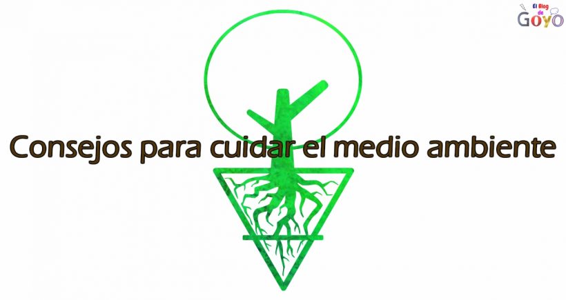 Consejos para cuidar el medio ambiente scaled